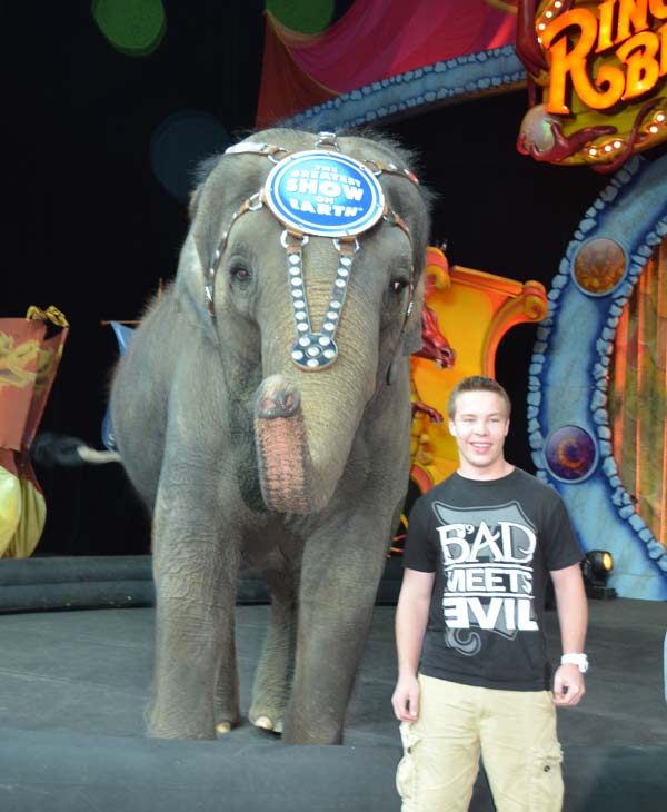 One of the elephants, Kelly Ann, gave us sneak...