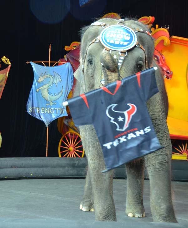 One of the elephants, Kelly Ann, gave us sneak...