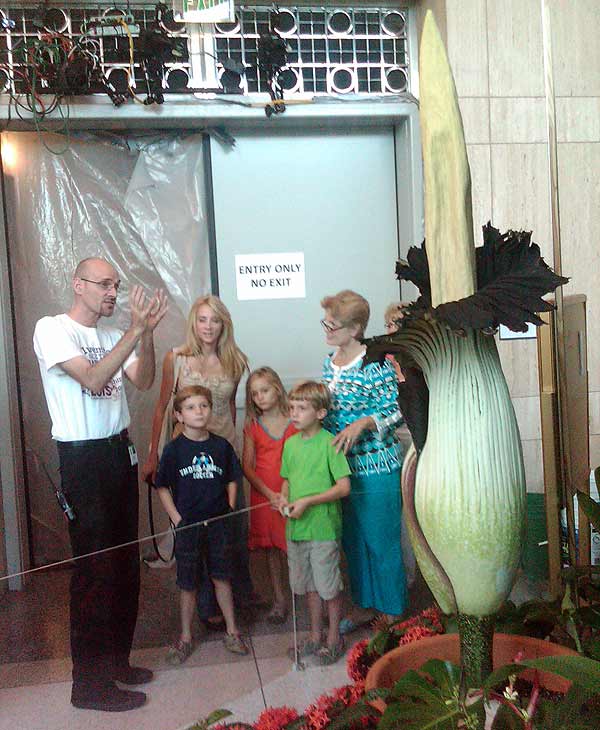 Lois, the famed corpse flower at the Houston...