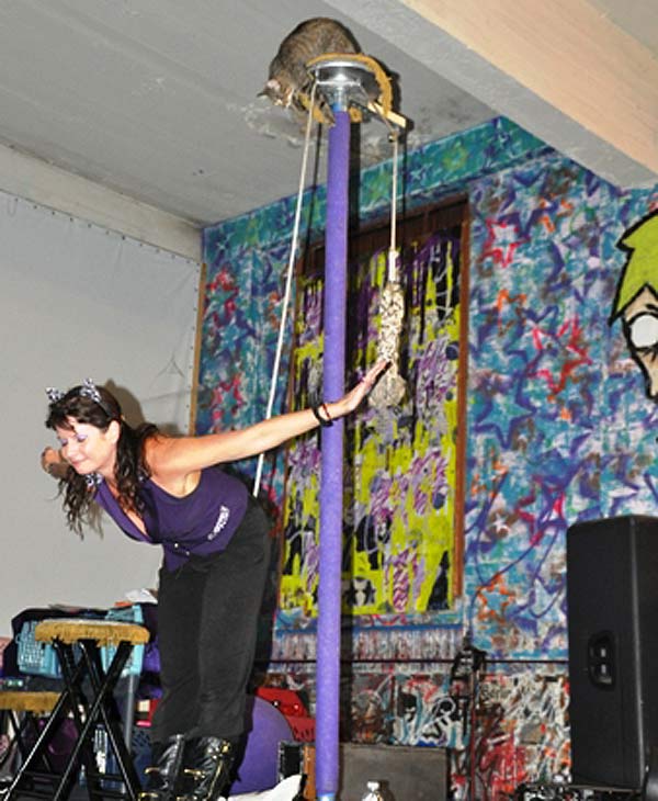 Ordinary housecats get trained to do...