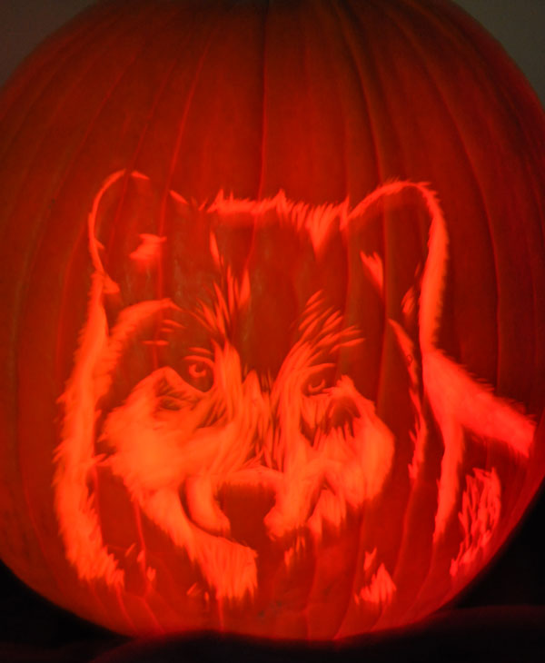 Images from the 14th Annual Pumpkin Carving...