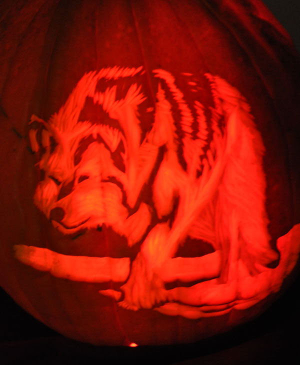 Images from the 14th Annual Pumpkin Carving...