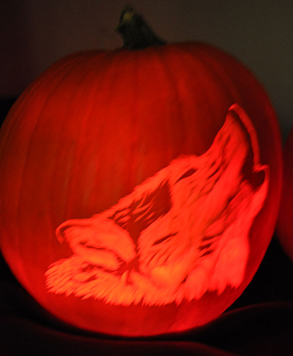 Images from the 14th Annual Pumpkin Carving...