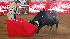 Photos from the bullfight