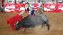 Photos from the bullfight