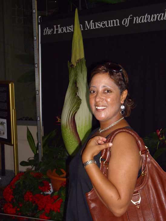 Lois, the famed corpse flower at the Houston...