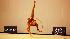 2008 Visa Championships - USA Gymnastics