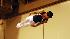 2008 Visa Championships - USA Gymnastics