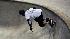 Houston skate heaven!