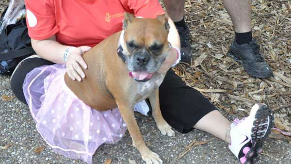 Images from Saturdays Susan G. Komen Race for...