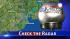 Live Mega Doppler 13 radar ::