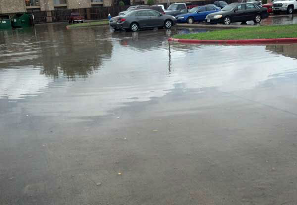 Selman Intermediate and Sealy Junior High were...