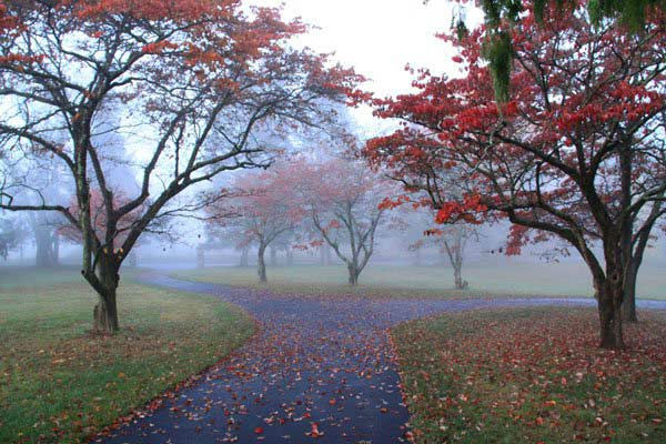 The driveway of the property featured in the...