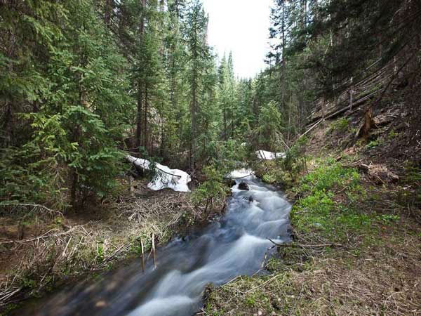 The creek on the property of Jerry Seinfeld's...