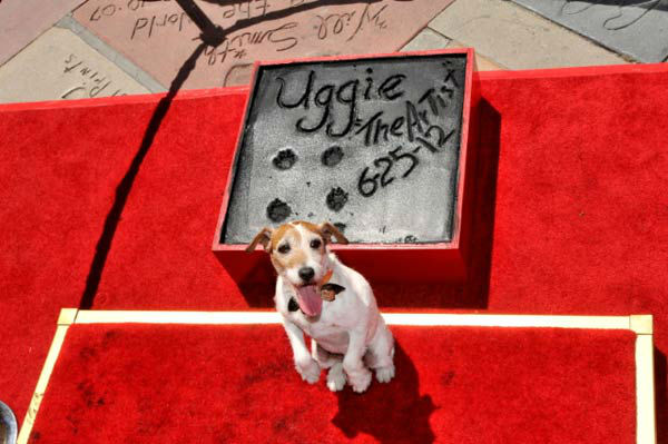 Uggie, the 10-year-old Jack Russell terrier who...