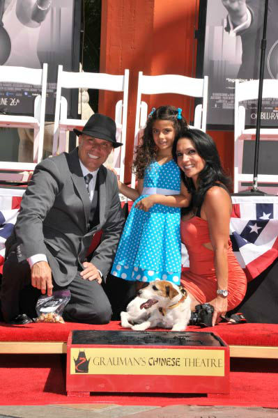Uggie, the 10-year-old Jack Russell terrier who...