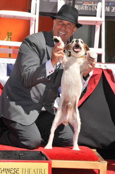 Uggie, the 10-year-old Jack Russell terrier who...