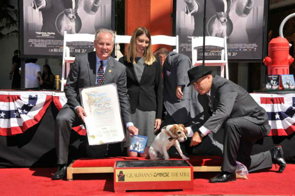 Uggie, the 10-year-old Jack Russell terrier who...