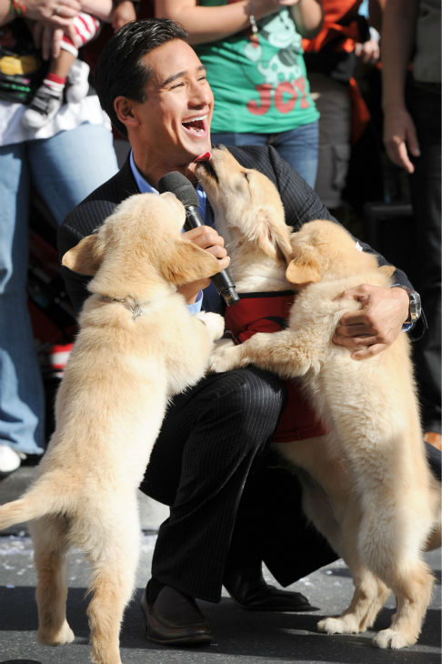 Mario Lopez and puppies appear at the 2011...