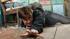 Daniel Radcliffe in the Harry Potter and the...