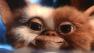 Pictured: An evil Gremlin and Gizmo appear in scenes from 'Gremlins'.