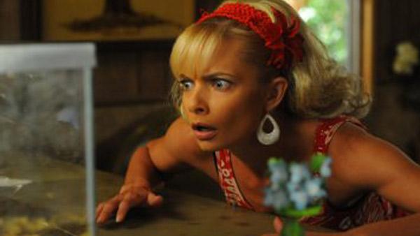 Jaime Pressly appears in a scene from the NBC comedy series, My Name is Earl. - Provided courtesy of NBC Jaime Pressly appears in a scene from the NBC comedy series, My Name is Earl. - Provided courtesy of NBC
