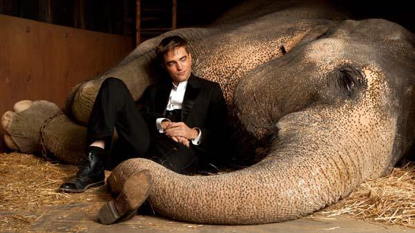 Robert Pattinson pictured in a still from his upcoming movie, Water for Elephants. - Provided courtesy of Twentieth Century Fox Robert Pattinson pictured in a still from his upcoming movie, Water for Elephants. - Provided courtesy of Twentieth Century Fox