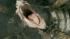 A scene from the 2011 film Harry Potter and the...