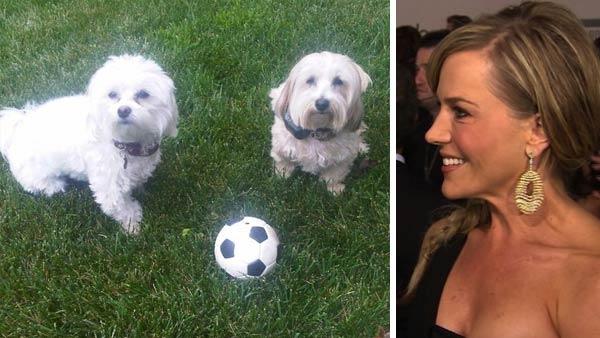 Julie Benz appears with her dogs Bamboo and Sugar in a photo posted on her Facebook page on June 3, 2011. / Julie Benz speaks to OnTheRedCarpet.com at the American Music Awards in Los Angeles in January 2011.