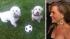Julie Benz appears with her dogs Bamboo and...