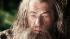 L-R: James Nesbitt as Bofur, Martin Freeman as Bilbo Baggins (front), Stephen Hunter as Bombur, Graham McTavish as Dwalin, William Kircher as Bifur and Jed Brophy as Nori in New Line Cinemas and MGMs The Hobbit: An Unexpected Journey. - Provided courtesy of James Fisher / Warner Bros. Pictures