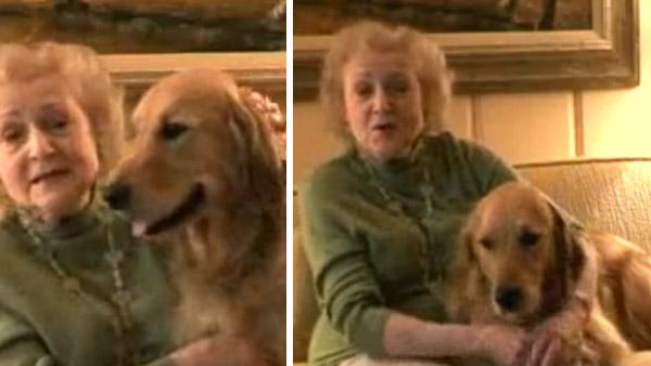 Betty White and her Golden Retriver, Pontiac, appear in a 2008 video ad for the Morris Animal Foundation, a group she has helped since 1971.