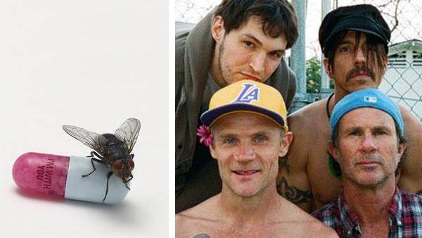 The cover of the 2011 Red Hot Chili Peppers album Im With You. / The Red Hot Chili Peppers band members appear in this photo posted on their groups Facebook page on July 21, 2011. - Provided courtesy of Warner Bros. Music / Clara Balzary / facebook.com/ChiliPeppers The cover of the 2011 Red Hot Chili Peppers album Im With You. / The Red Hot Chili Peppers band members appear in this photo posted on their groups Facebook page on July 21, 2011. - Provided courtesy of Warner Bros. Music / Clara Balzary / facebook.com/ChiliPeppers