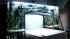 Chad Ochocinco talks to OnTheRedCarpet.com after a performance of Dancing With The Stars in May 2010. / Chad Ochocincos fish tank bed headboard, as seen in a photo posted on the Facebook page of manufacturer Acrylic Tank Manufacturing. - Provided courtesy of facebook.com/acrylic.manufacturing