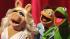 The cast of Disneys The Muppets took over the Dancing With The Stars stage  for a performance of Lifes a Happy Song, a single from their upcoming film The Muppets, on Dancing With The Stars: The Results Show on Tuesday, November 15.