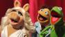 The Muppets performed on 'Dancing With The Stars: The Results Show' on Tuesday, November 8, 2011.