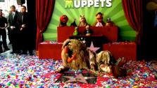 Jim Hensens The Muppets receiving a star on the Hollywood Walk of Fame on March 20, 2012. - Provided courtesy of OTRC