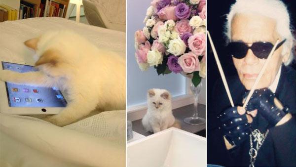 Karl Lagerfeld's cat Choupette appears in photos from the designer's official Facebook page and V Magazine's Twitter page. /  Karl Lagerfeld appears in a photo posted on V Magazine's Twitter page on March 21, 2012.