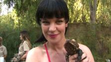 Pauley Perrette talks to OnTheRedCarpet.com at the Greater Los Angeles Zoo Associations 42nd Annual Beastly Ball on Saturday, June 16, 2012. - Provided courtesy of OTRC