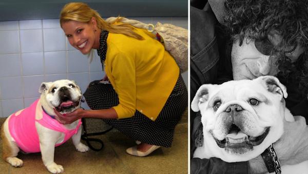 Howard Stern and wife Beth Ostrosky Stern appear with their dog Bianca in photos posted on the models Twitter page on June 27, 2012. - Provided courtesy of twitter.com/bethstern / pic.twitter.com/eOdl4L1J / pic.twitter.com/4p36dJcb Howard Stern and wife Beth Ostrosky Stern appear with their dog Bianca in photos posted on the models Twitter page on June 27, 2012. - Provided courtesy of twitter.com/bethstern / pic.twitter.com/eOdl4L1J / pic.twitter.com/4p36dJcb