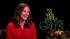 Jennifer Garner on 'The Odd Life of Timothy Green' Jennifer Garner talks to OnTheRedCarpet.com about The Odd Life of Timothy Green on August 10, 2012. - Provided courtesy of OTRC