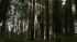 Bella (Kristen Stewart) appears in a scene from...