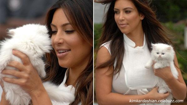 Kim Kardashian and her Persian kitten Mercy appear in photos posted on her official website on September 17, 2012. - Provided courtesy of kimkardashian.celebuzz.com Kim Kardashian and her Persian kitten Mercy appear in photos posted on her official website on September 17, 2012. - Provided courtesy of kimkardashian.celebuzz.com