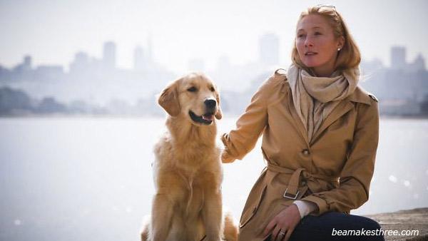 Maggie Rizer and her Golden Retreiver Bea appear in a photo posted on the supermodels official website on September 20, 2012. - Provided courtesy of beamakesthree.com Maggie Rizer and her Golden Retreiver Bea appear in a photo posted on the supermodels official website on September 20, 2012. - Provided courtesy of beamakesthree.com