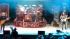 Rush performs at White River Amphitheatre in...