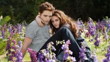 Kristen Stewart and Robert Pattinson appear in a scene from the 2012 movie Twilight: Breaking Dawn - Part 2. - Provided courtesy of Summit Entertainment
