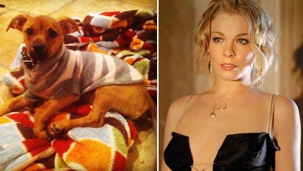LeAnn Rimes' puppy Eveie appears in a photo posted on the singer's official Twitter page on November 9, 2012. / LeAnn Rimes appears in an undated photo posted on her official MySpace page.
