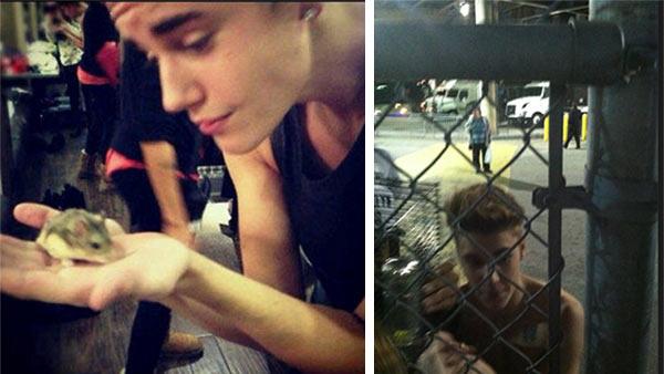 Victoria Blair, who goes by Tori, posted these photos of Justin Bieber with his hamster PAC, which she says he gave her when she met him in Atlanta in mid-December 2012. - Provided courtesy of twitter.com/victoriablair21 Victoria Blair, who goes by Tori, posted these photos of Justin Bieber with his hamster PAC, which she says he gave her when she met him in Atlanta in mid-December 2012. - Provided courtesy of twitter.com/victoriablair21