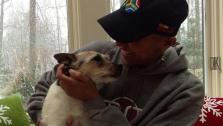 Robin Roberts and her dog, KJ, appear in this photo posted on her Twitter page on Dec. 29, 2012. - Provided courtesy of twitter.com/RobinRoberts