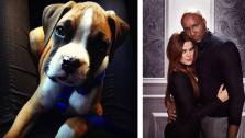 Khloe Kardashian Odom, star of Khloe and Lamar and Keeping Up With the Kardashians, reveals a puppy present from her husband Lamar on March 13, 2013. - Provided courtesy of OTRC / khloekardashian.celebuzz.com / James White - E!